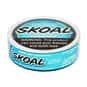 Best Skoal Flavor | List of All Skoal Tobacco Flavors