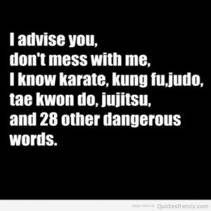 Funny Karate Quotes. QuotesGram