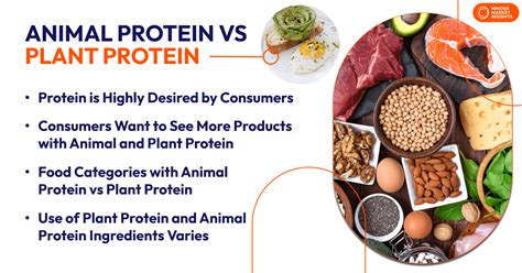 Animal Protein vs Plant Protein in the US examines trends in the