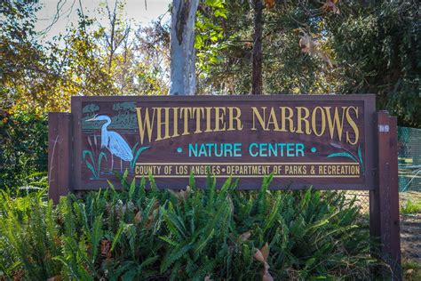 Whittier Narrows Natural Area and Nature Center – Parks & Recreation