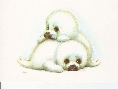 baby seals.. Ruth Moorehead Cute Animal Illustration, Illustration Art, Illustrations, Animals ...