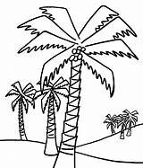 Palm Tree Coloring Pages For Kids  Home sketch template