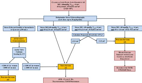 Dobutamine Stress Echocardiography in Low‐Flow, Low‐Gradient Aortic Stenosis: Flow Reserve Does ...