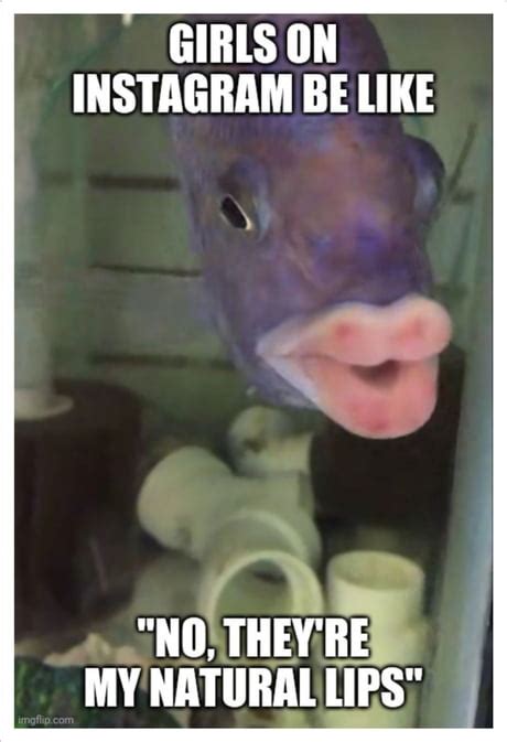 Fish With Lips Meme | Lipstutorial.org