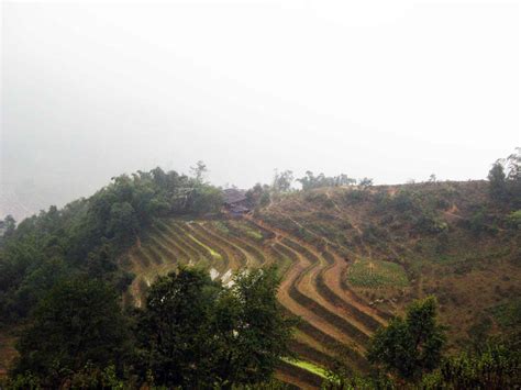 Photo story: Trekking along Sapa rice terraces in winter - The Travelling Squid