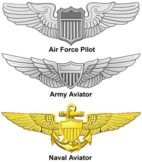 United States Aviator Badge | Naval aviator, Army aviators, Badge