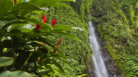 Dark View Falls, St Vincent | YACHTZOO