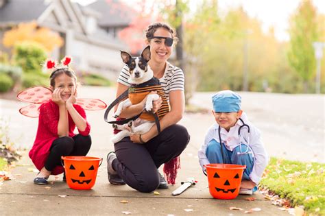 Going Trick or Treating With Your Dog - Extreme Electric Dog Fence 2024 ...