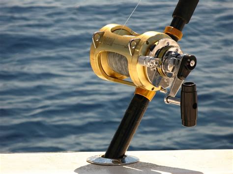 DEEP SEA FISHING REELS: Do You Really Need It?