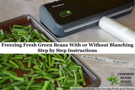 Freezing Green Beans With or Without Blanching, Step by Step