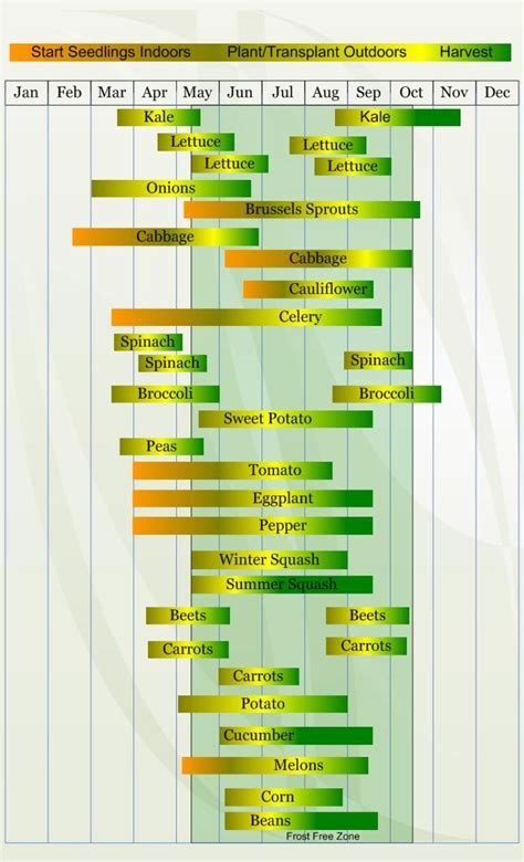 Zone 6 Vegetable Planting Calendar/Schedule - VeggieHarvest.com