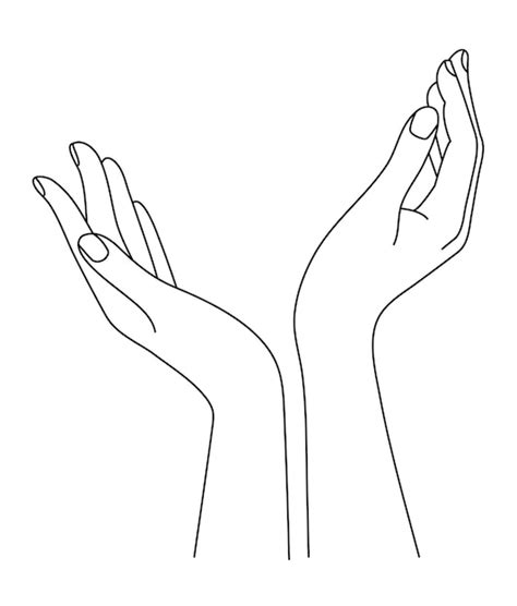 Premium Vector | Hands aestetic line drawing. Arm in simple linear ...