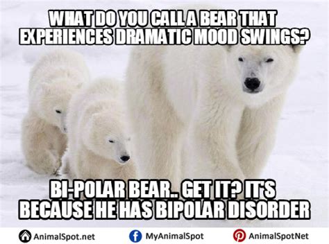 Polar Bear Memes