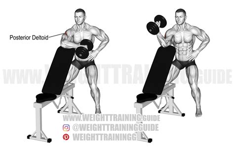 Dumbbell external shoulder rotation exercise instructions and video ...