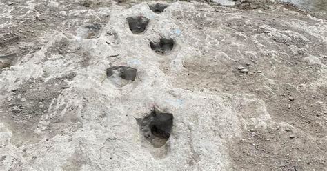 New dinosaur tracks uncovered in Texas after severe drought dries up river | Flipboard