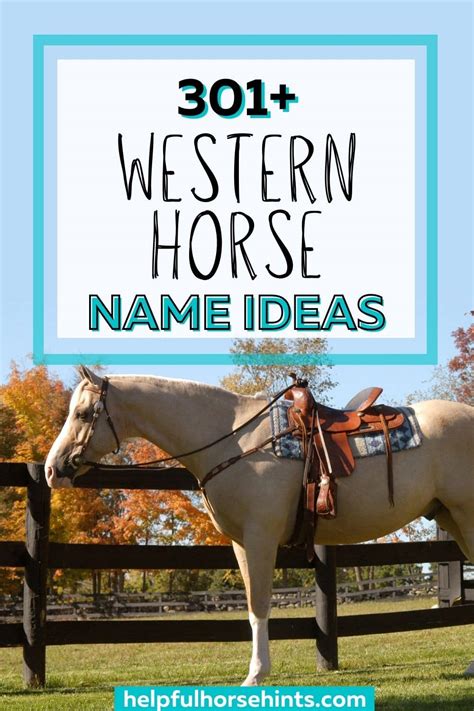 301+ Western Horse Names - for Mares and Geldings (Male and Female ...