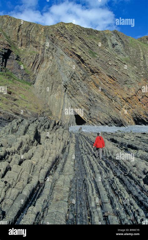 Folded and Faulted Rocks at Hartland Quay 320 Million Year Old ...