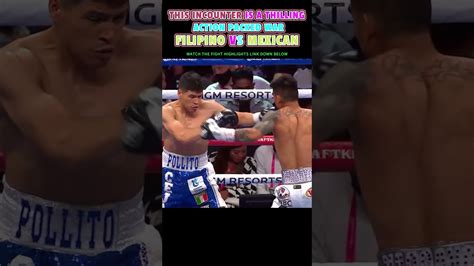 Mark Magsayo vs. Julio Ceja | Boxing Fight Highlights #boxing #action #combat #sports #match ...