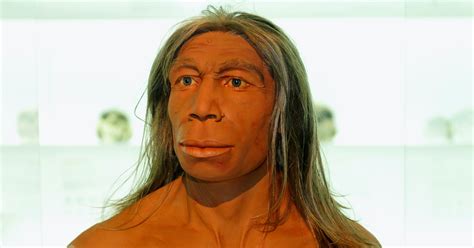 When did the last Neanderthal die? New study changes the timeline