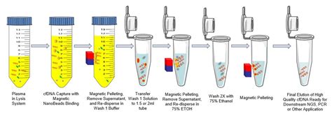 Precision Cell-free DNA Extraction For Liquid Biopsy By, 42% OFF