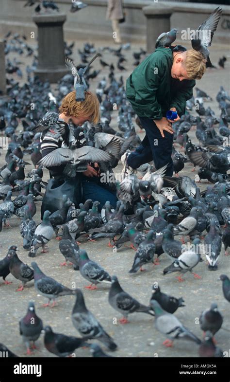 Feeding Street Pigeons Trafalgar Square London UK Stock Photo - Alamy