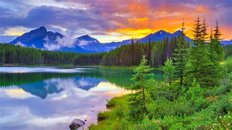 Download Canada Banff National Park Reflection Nature Mountain Forest ...