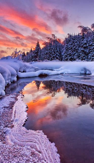 20+ Best Winter's sunrise images | sunrise, scenery, beautiful nature