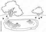 Coloring page With pond Flowering Water Lily Plants Stock Vector  sketch template