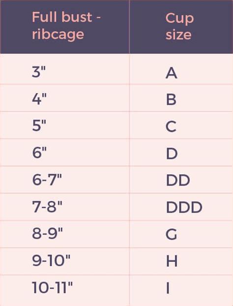 Bra Cup Size Comparison Pictures