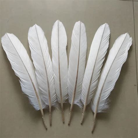 Aliexpress.com : Buy 6pcs rare white eagle tail feather feathers 40 45 ...