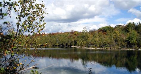 Dew On The Newts: Crawford Lake Conservation Area