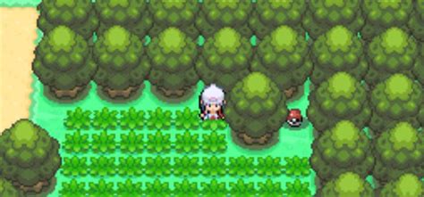 Pokémon Platinum Nest Balls: How They Work + All Locations - Guide Strats