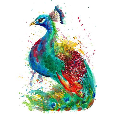 Peacock Painting Illustration Print By Astrid Brisson