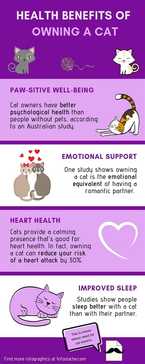 4 Health Benefits of Owning a Cat [Infographic] | Cat infographic ...