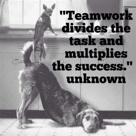 47 Inspirational Teamwork Quotes and Sayings with Images | Funny, Teamwork and Inspirational ...