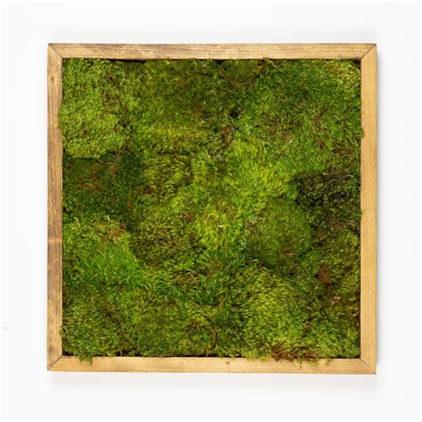 Moss Wall Art - 16" SQ Mood Moss Brown | Moss wall art, Moss wall, Wall art