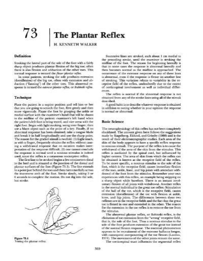 73 The Plantar Reflex