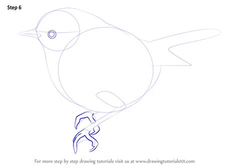 How to Draw a Firecrest (Birds) Step by Step | DrawingTutorials101.com