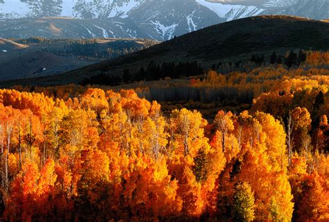 Fall Colors in Yosemite National Park