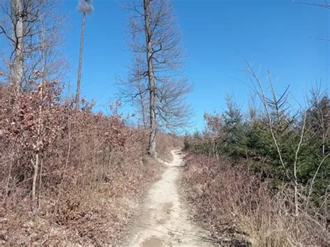 2023 Best 10 Wildlife Trails in Chráněná krajinná oblast (CHKO) Bílé ...