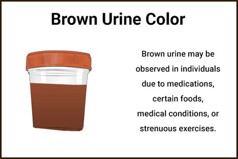 Porphyria Urine Color