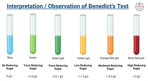 Benedict’s Test- Principle, Procedure, Steps, Results, Uses