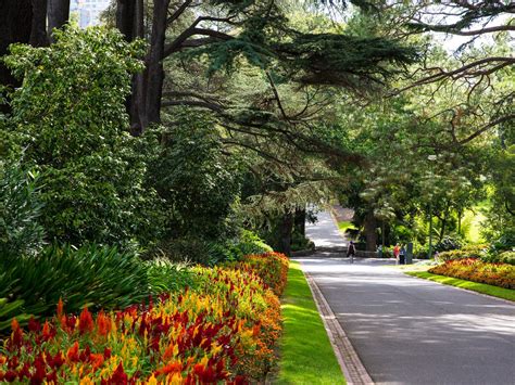 Gardens of Melbourne Day Tour, Tour, Melbourne, Victoria, Australia