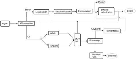 Integrating the use of glycerol for the production of ethanol ...