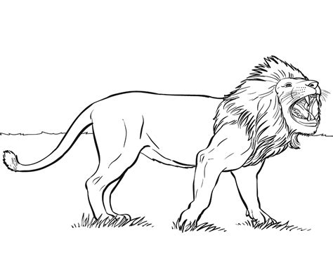 Best Wild Lion Animals Coloring Pages - Best Coloring Pages For Kids