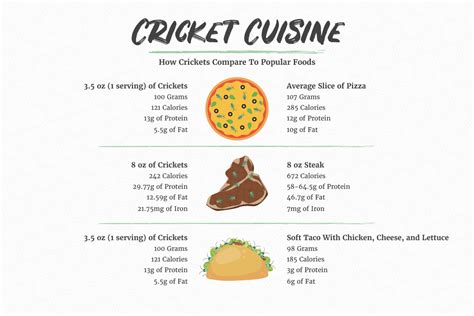 Cricket Nutrition Information & Facts | Insight Pest Solutions