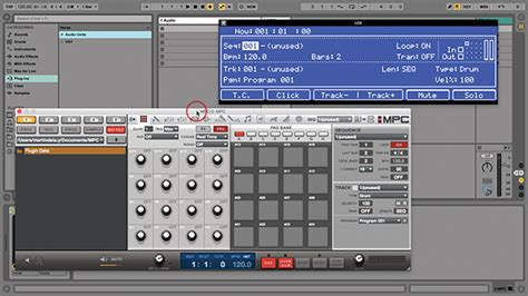 Ableton Live Tutorial: The Simpler Instrument