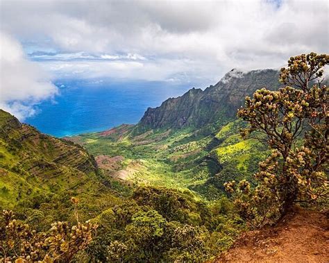 KALALAU LOOKOUT - All You MUST Know Before You Go (2024)