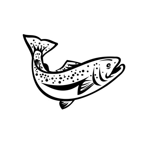 Speckled Trout Spotted Seatrout or Cynoscion Nebulosus 1912989 Vector Art at Vecteezy