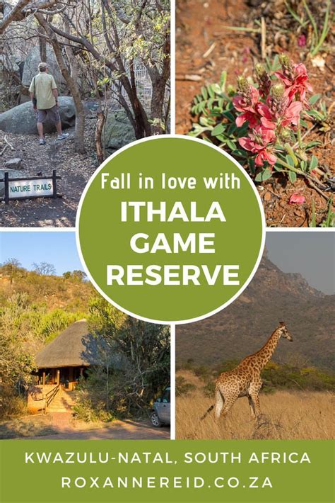 Falling in love with Ithala Game Reserve | South africa travel, Game reserve, African travel